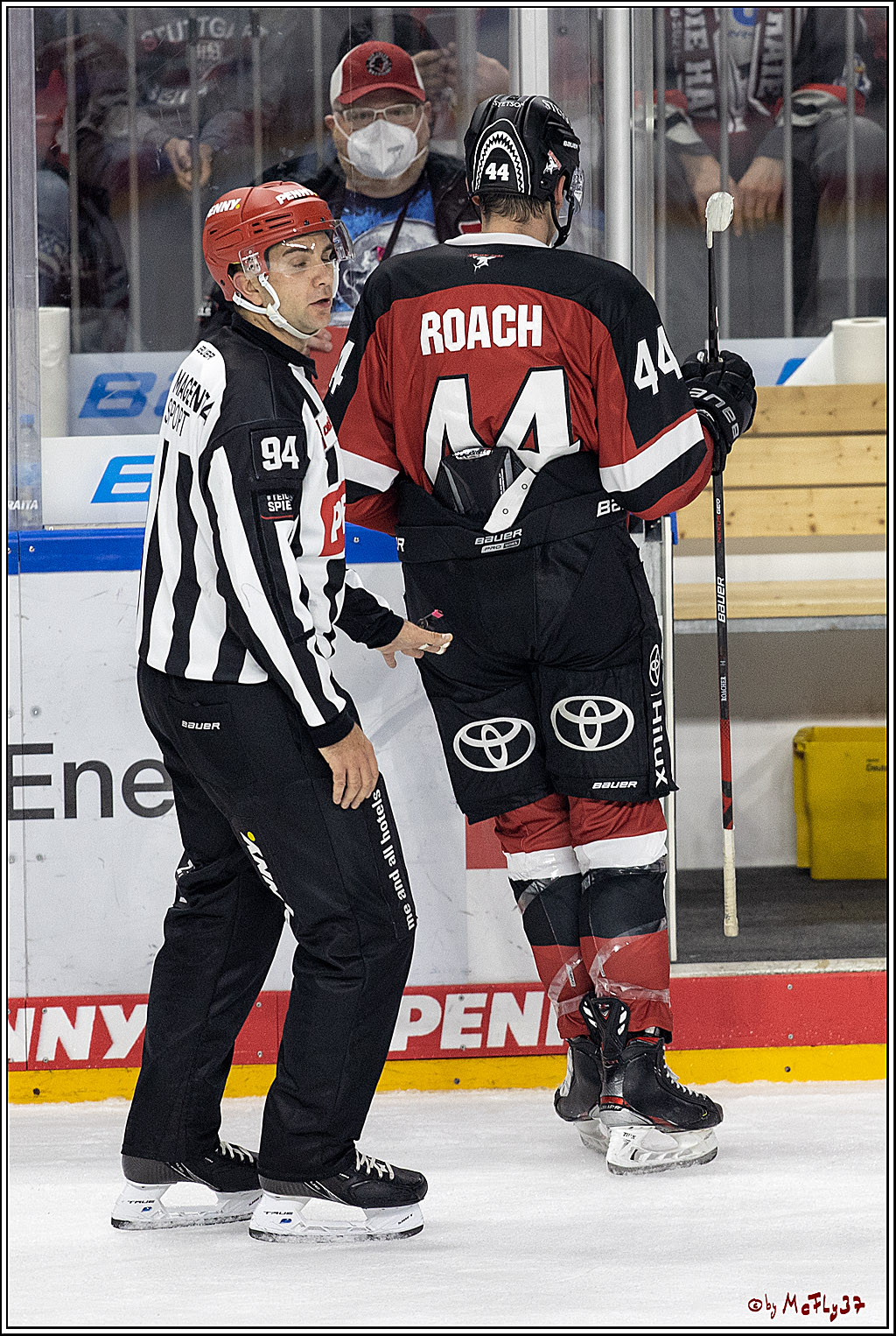 PENNY DEL;  Koelner Haie - Krefeld Pinguine; Koeln, 31.10.2021